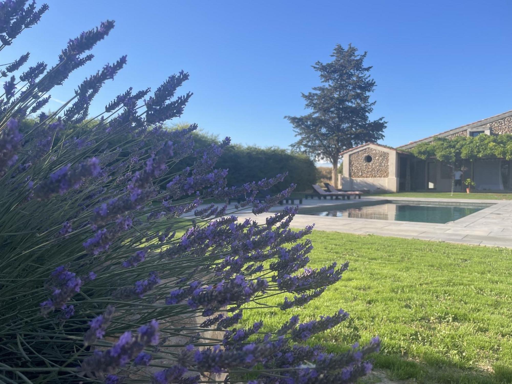 Les Mazets Du Pas Hotell Gréoux-les-Bains Eksteriør bilde